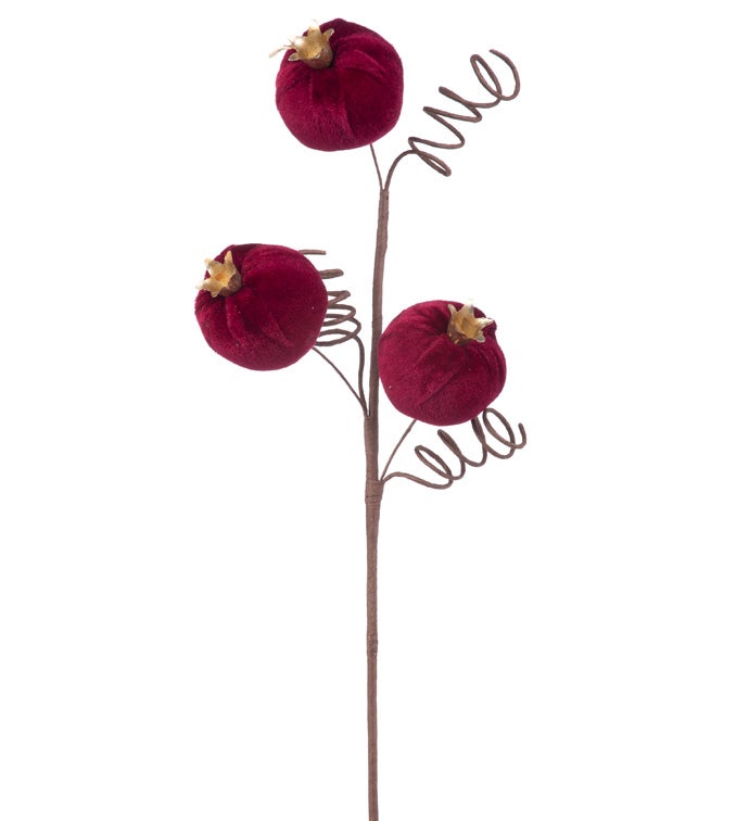 Pomegranate/Spiral Spray