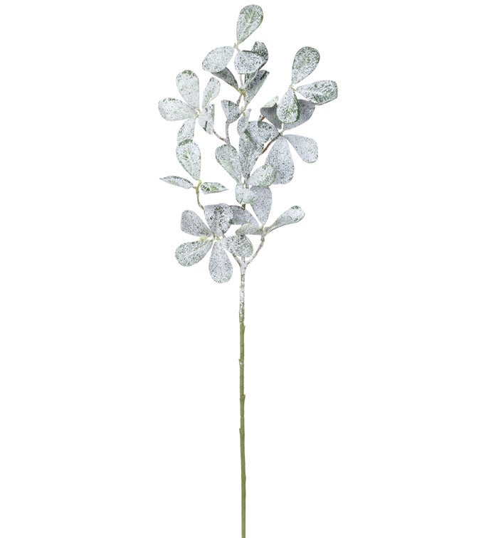 Frosted Oval Leaves Spray