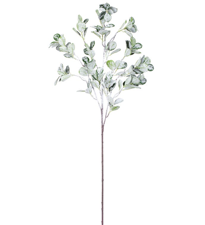 Large Frosted Oval Leaves Spray