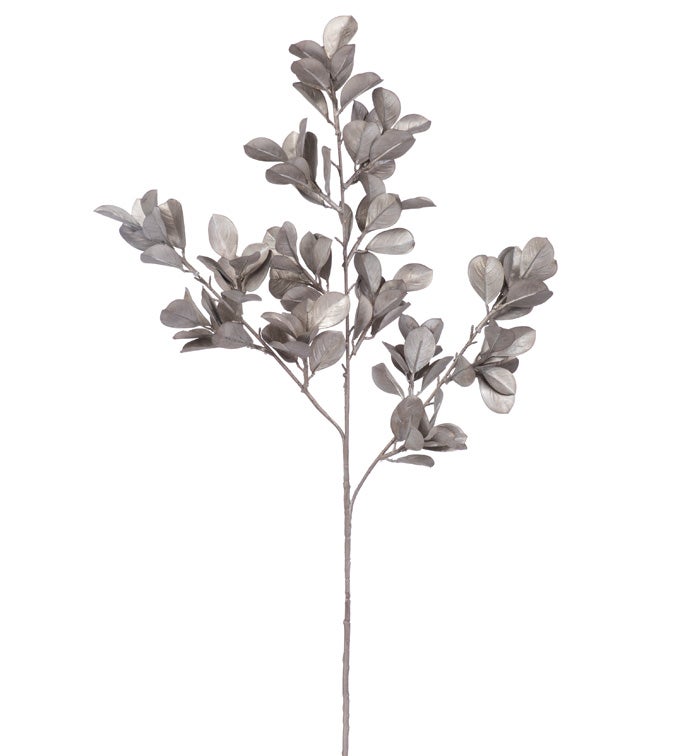 Pewter Boxwood Leaves Spray