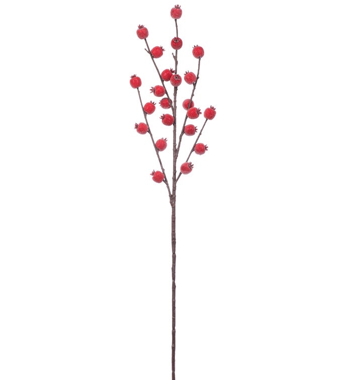 Hawthorn Berry Spray