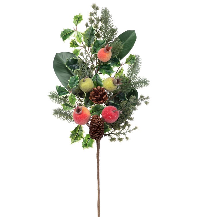 Fruit/Cone/Foliage Spray