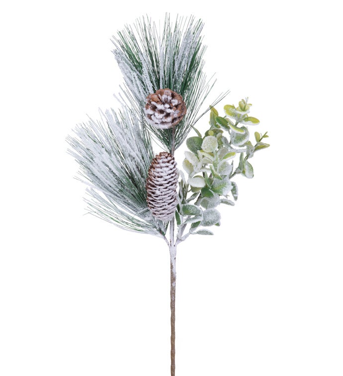 Frost Pine/Eucalyptus/Cone Pick