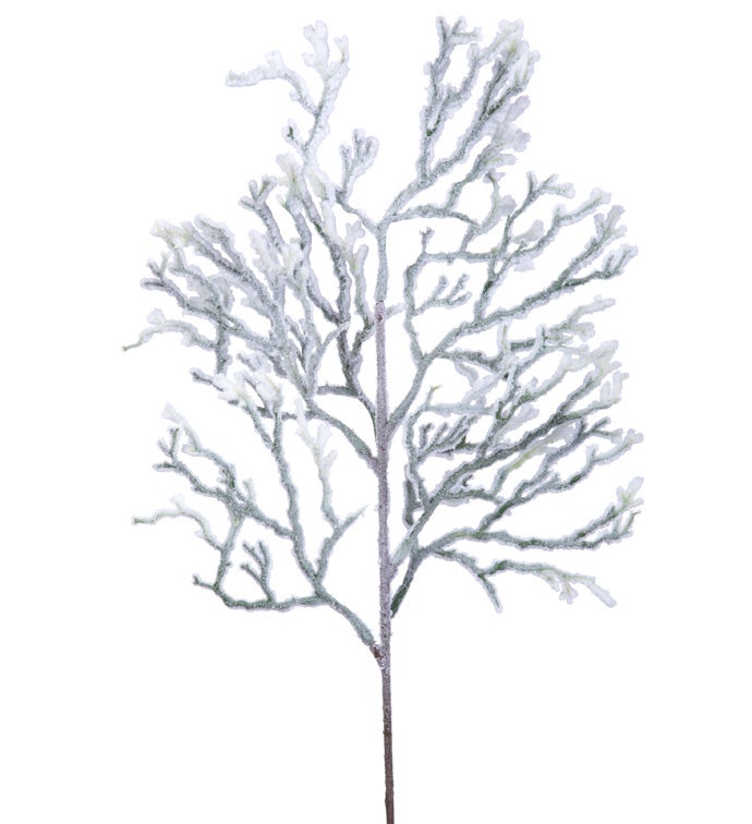 Snow Twig Spray