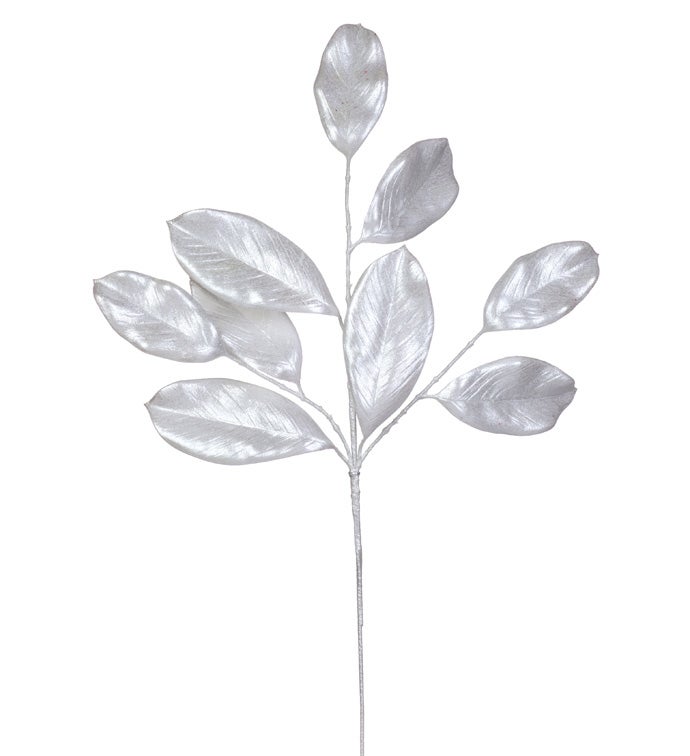 White Magnolia Leaf Spray