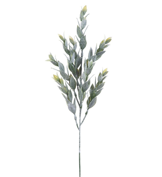 Ruscus Glitter Leaf Spray