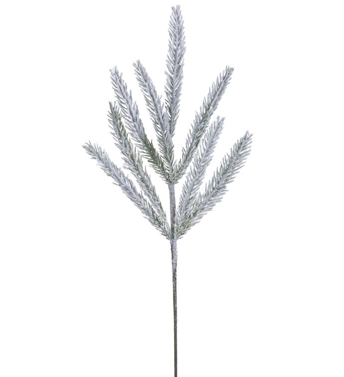 Snow Noble Fir Spray