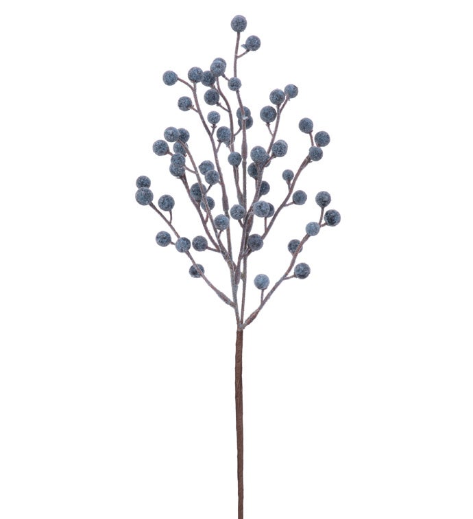 Blue Iced Berry Pick