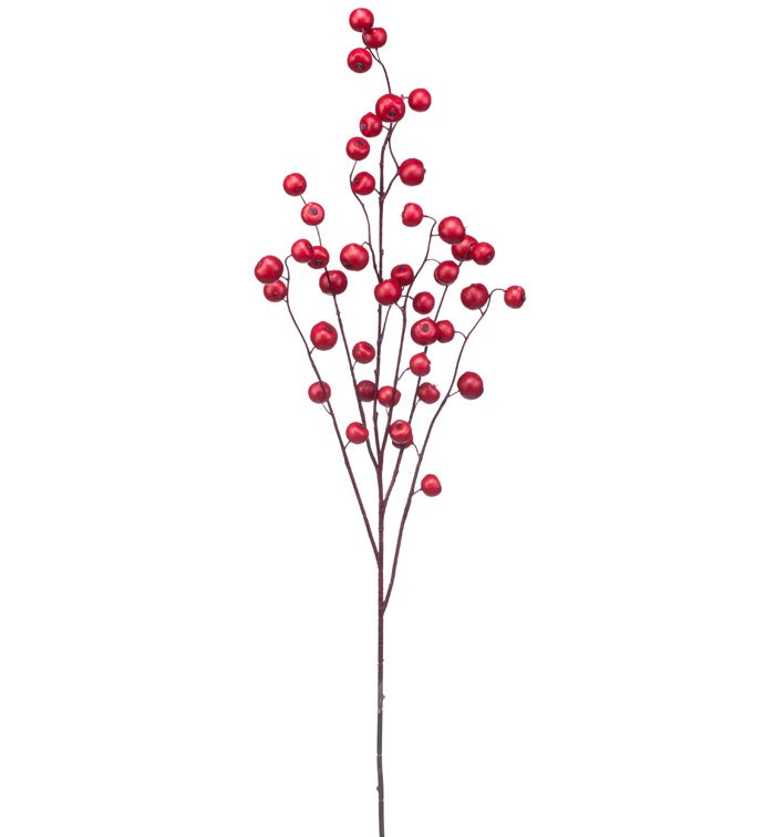Burgundy Berry Branch