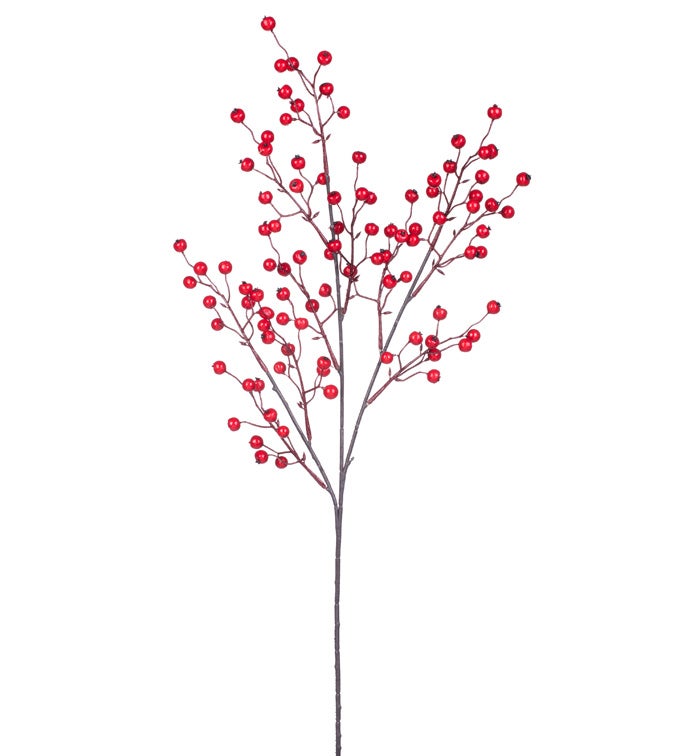 Red Berry Branch