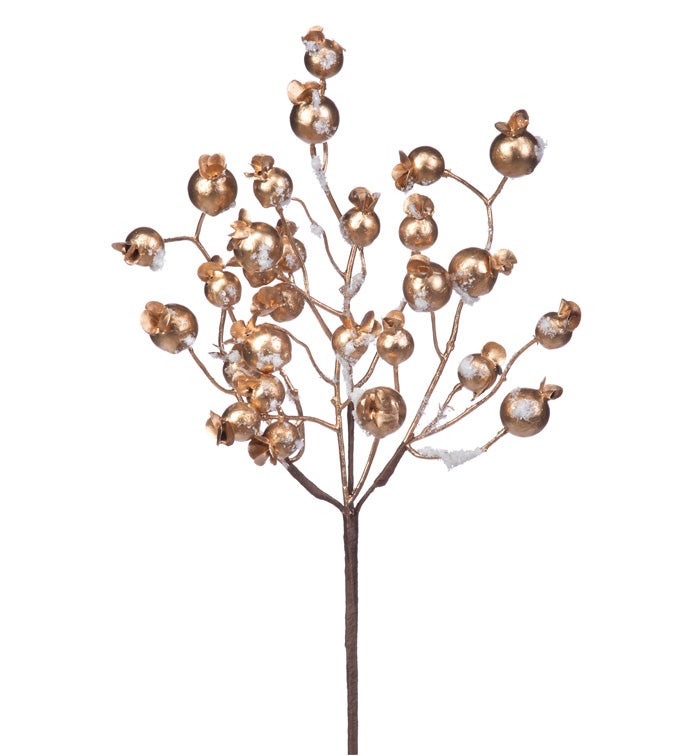 Gold Snow Berry Pick