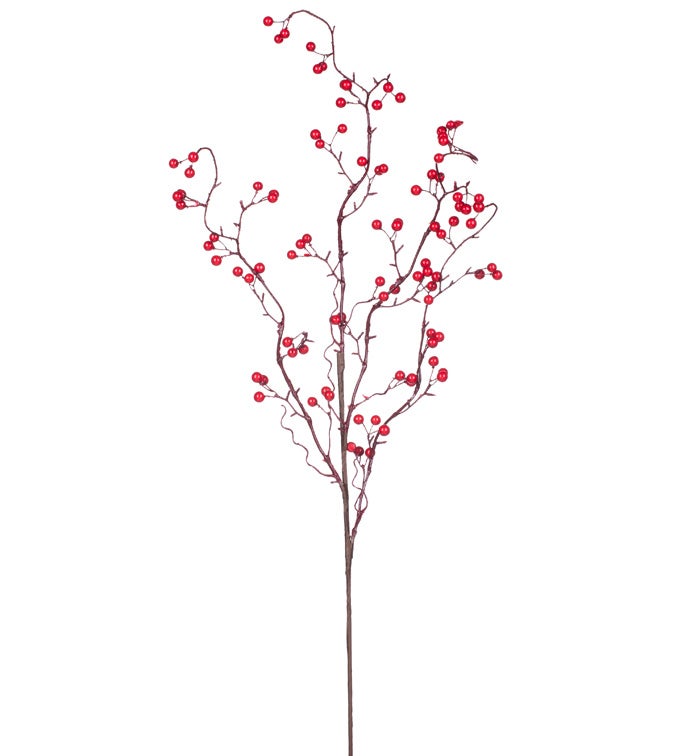 Red Berry Branch