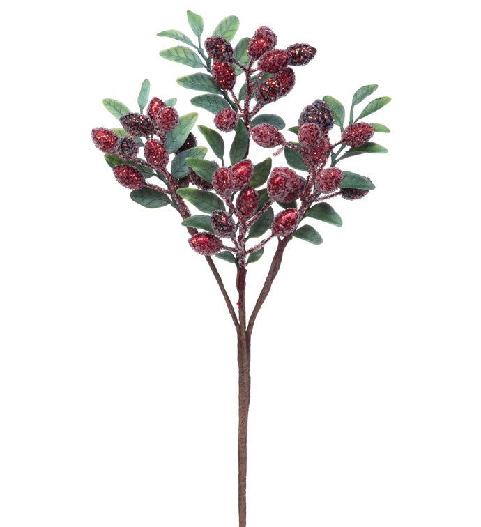 Burgundy Iced Oval Berry Pick