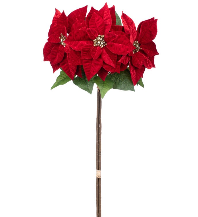 Poinsettia Spray