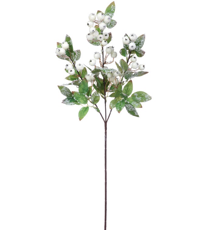 Frosted Leaves White Berry Vine