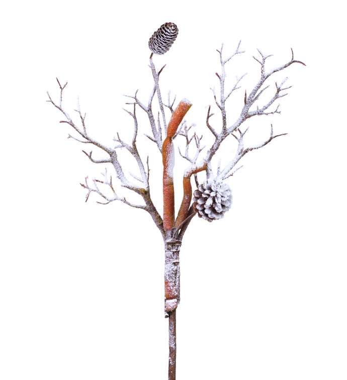 Snow 2-Cone Twig Spray