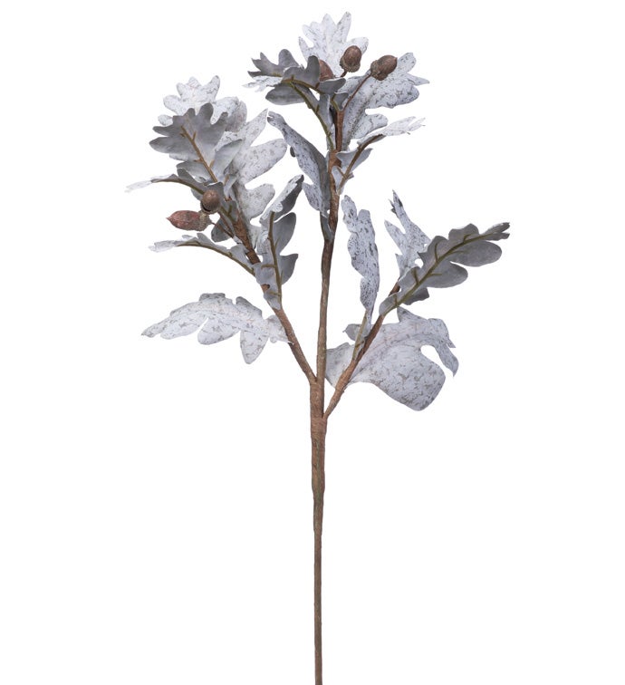 Mottled Leaves/Acorn Spray