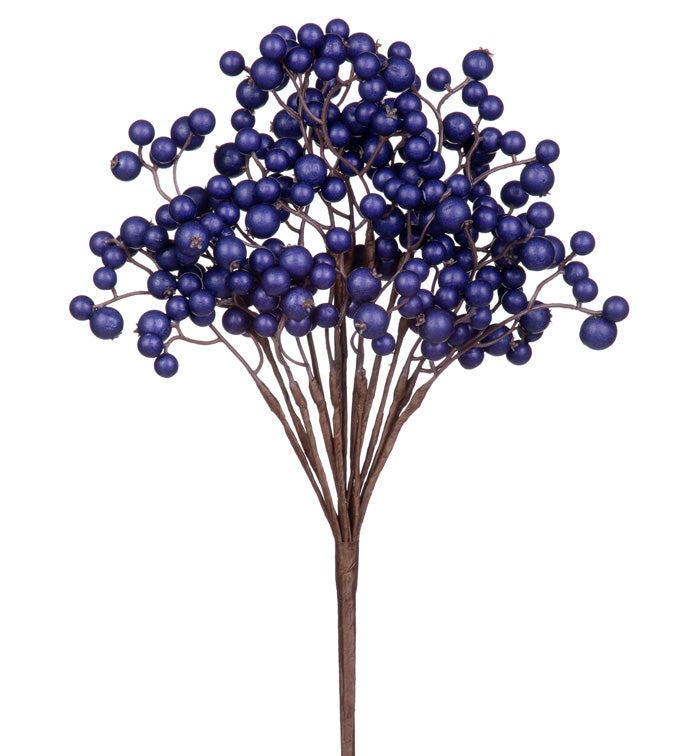 Blue Berry Cluster Bush
