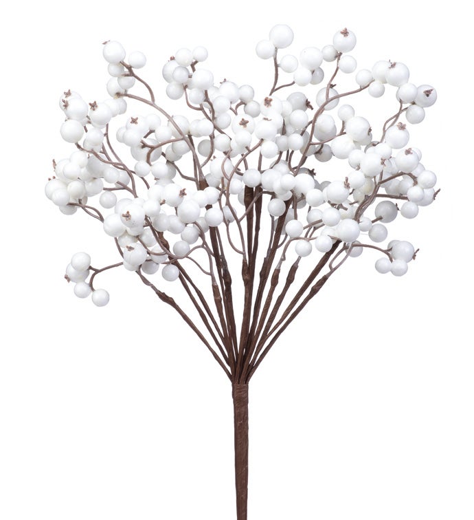 White Berry Cluster Bush