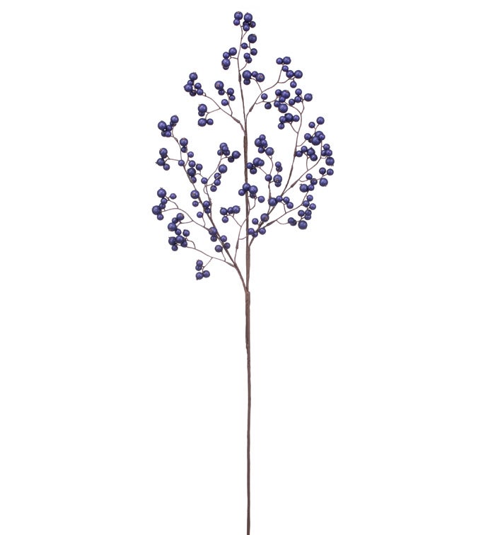 Blue Water Berry Branch