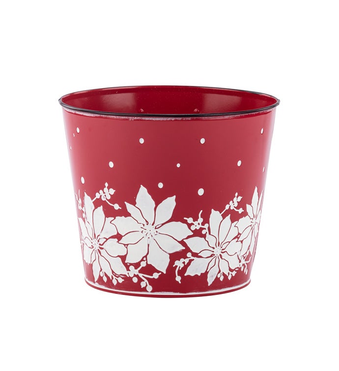 6.5" Red Pot with White Poinsettia