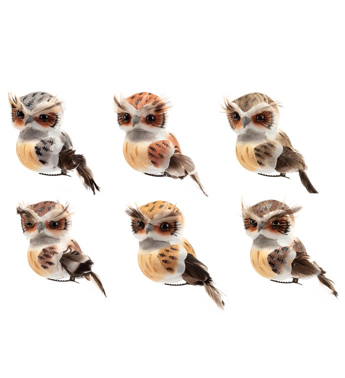 6 Assorted Owls with Clip