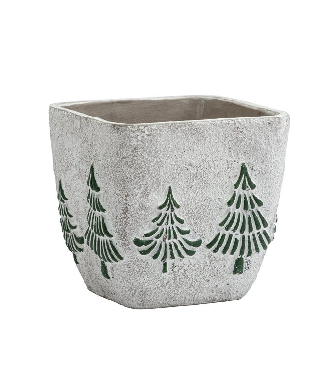 Small Pine Tree Square Planter