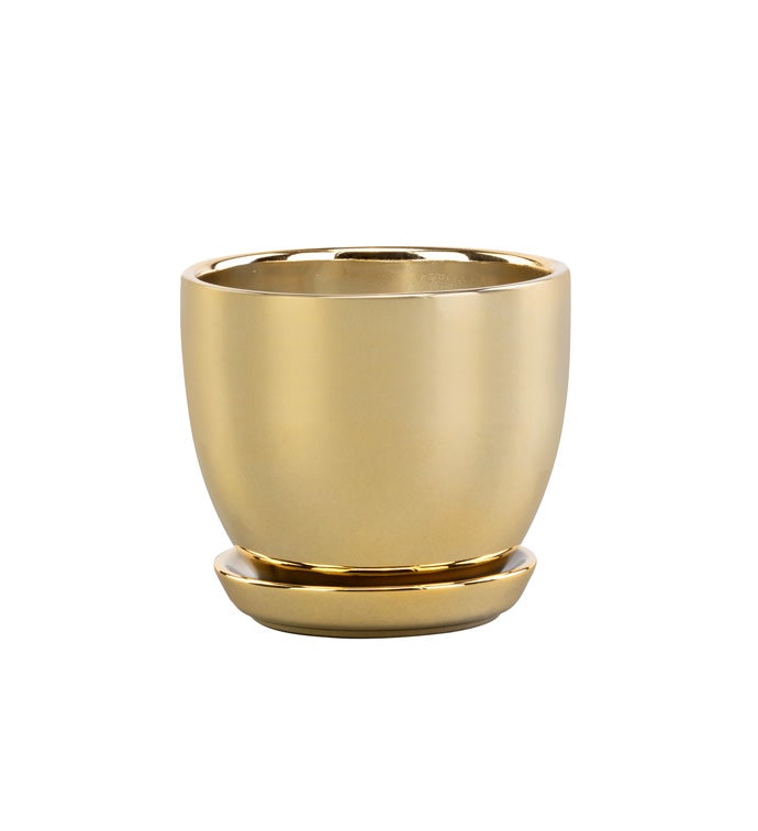 Small Gold Pot with Saucer