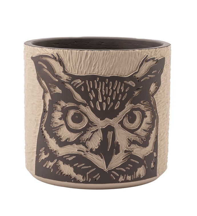 Horned Owl Face Planter