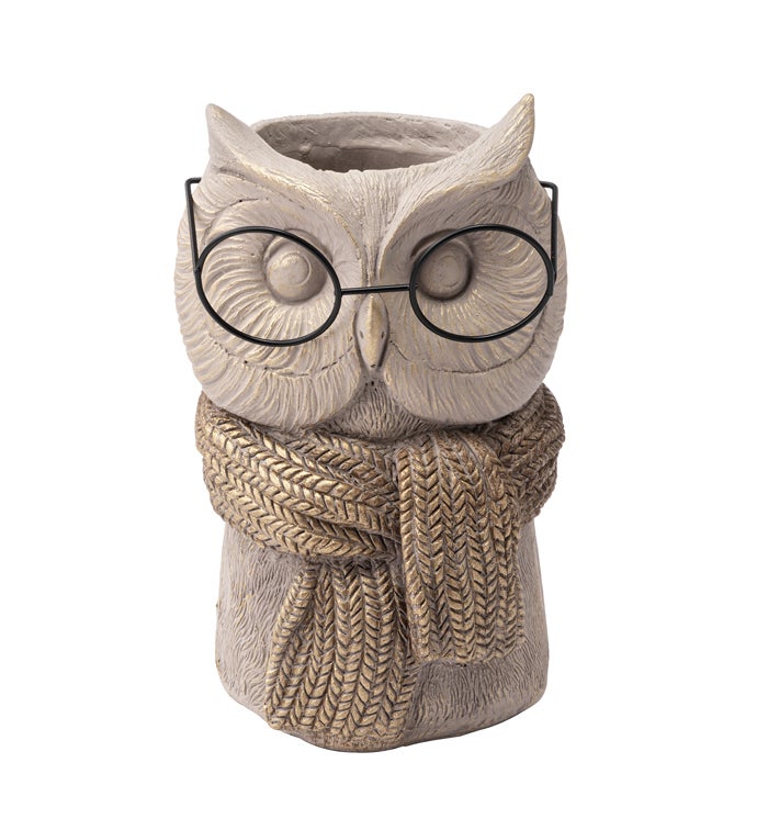 Owl with Scarf and Glasses