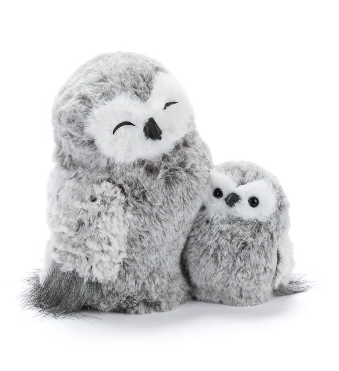 Gray Owl Mother and Baby