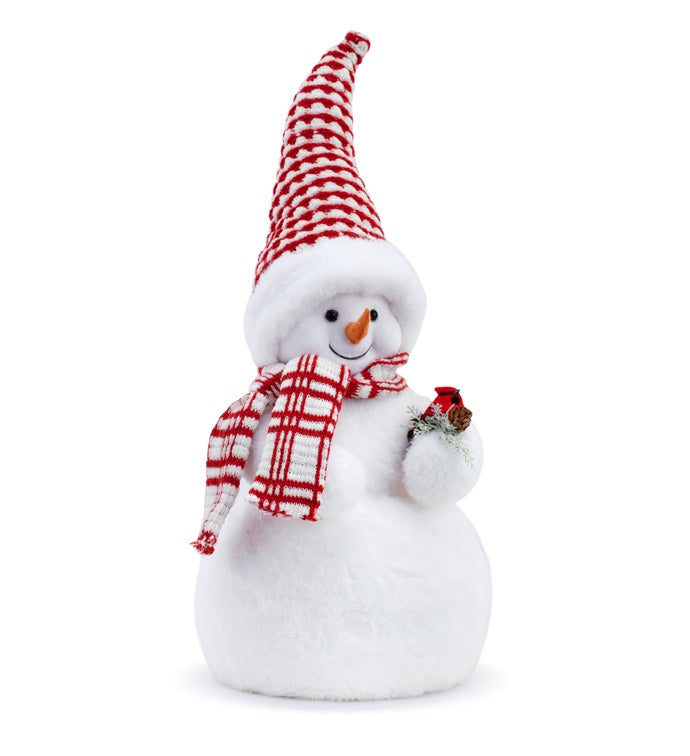 Snowman Holding Cardinal