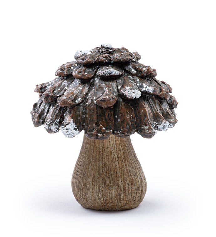 Small Pine Cone Cap Mushroom