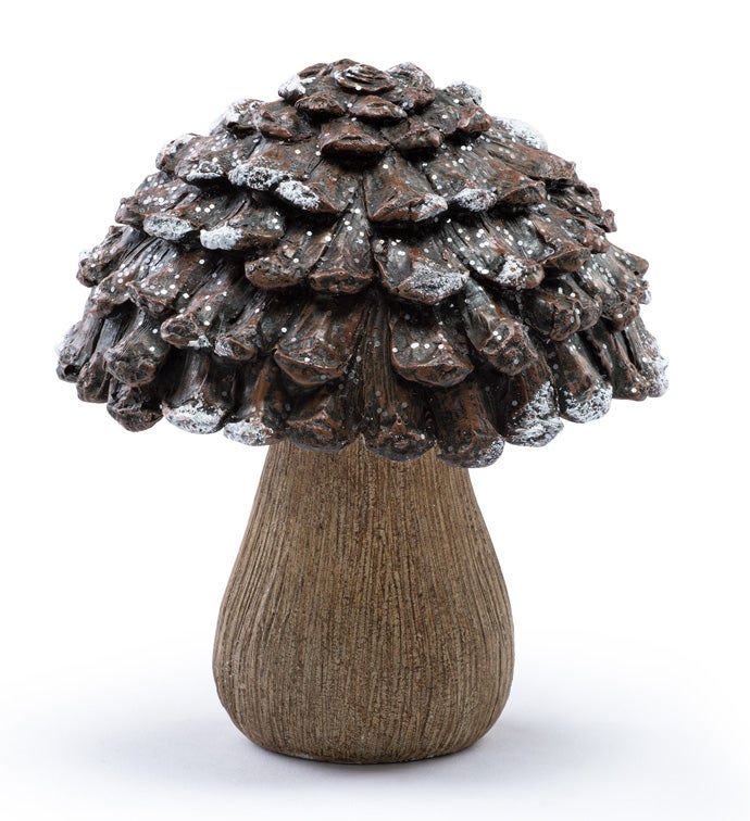 Large Pine Cone Cap Mushroom