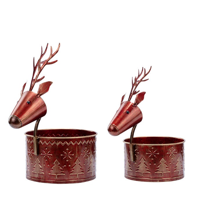 Reindeer Planters  Set of 2