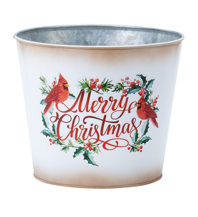 6.5" 'Merry Christmas' Cardinal Pot Cover