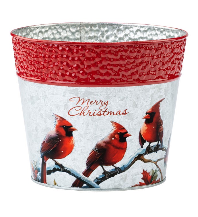 6.5" Christmas Cardinals Pot Cover