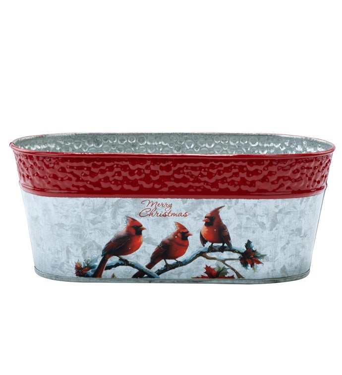 4" Christmas Cardinals Double Bloomer