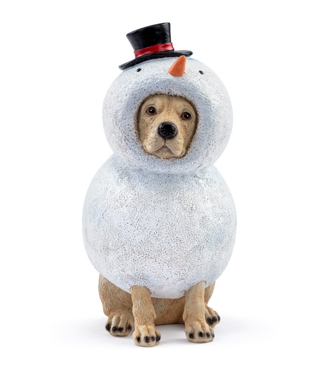 Dog In Snowman Suit