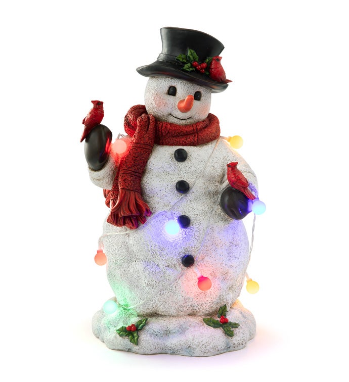 LED Cardinal/Holly Snowman