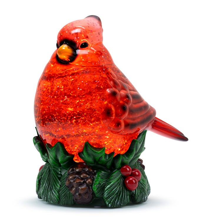 LED Holly Cardinal Water Globe