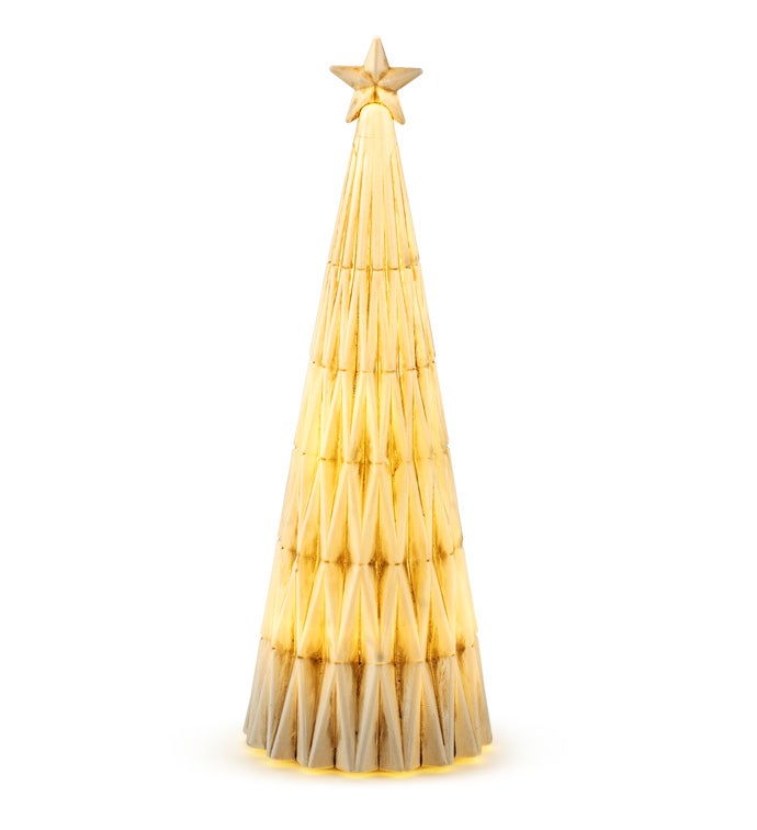 LED Christmas Tree with Star