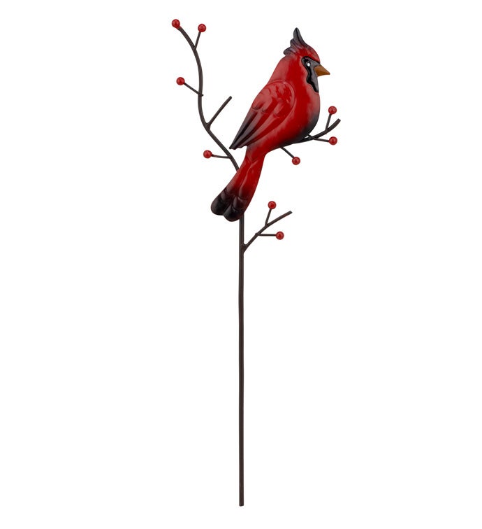Cardinal on Branch Pick