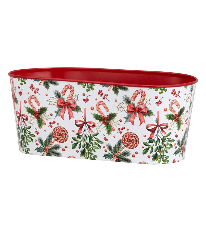 4" Christmas Candy Doublebloomer