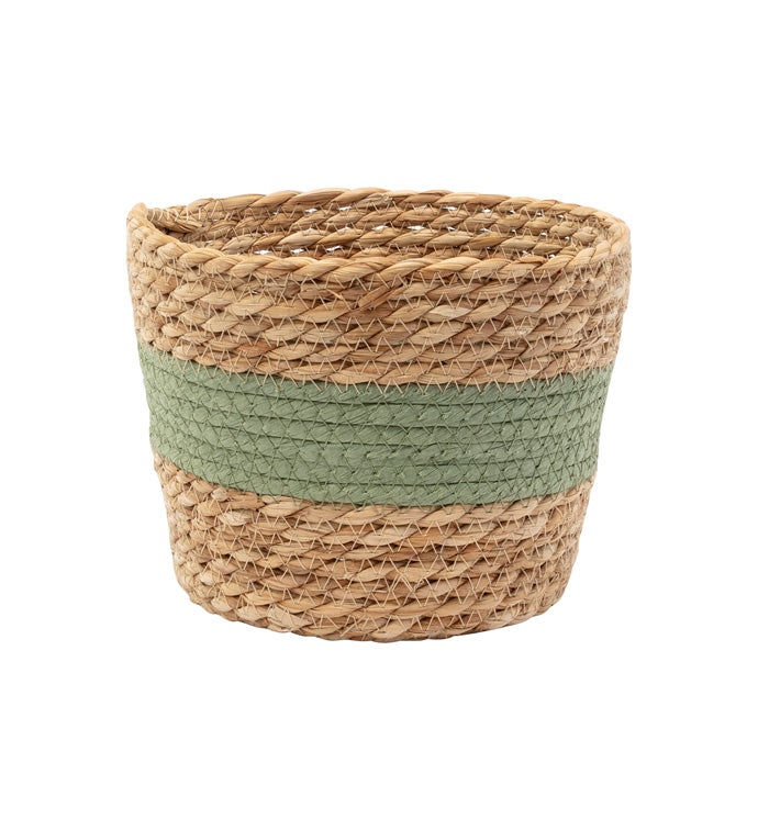 6.5" Green Band Basket