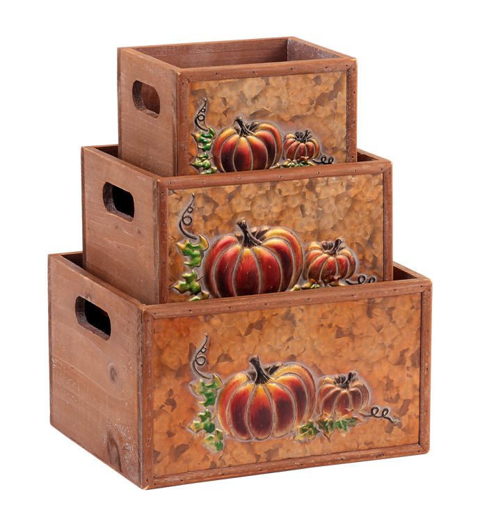 Embossed Pumpkin Box, Set of 3