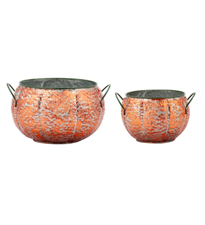 Pumpkin Dish Garden, Set of 2