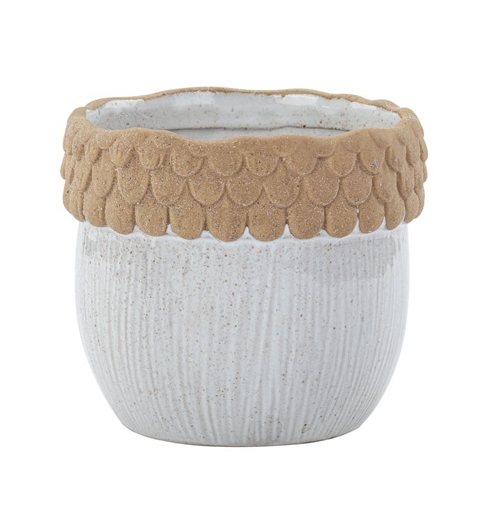 Acorn Planter