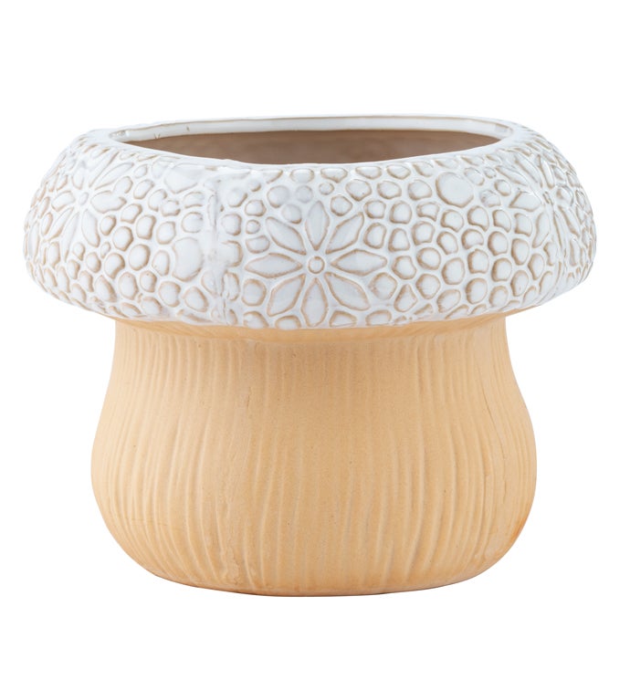 Mushroom Top Planter