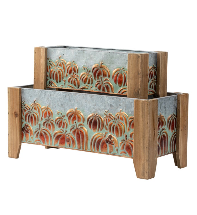 Rectangle Galvanized Pumpkin Planter  Set/2